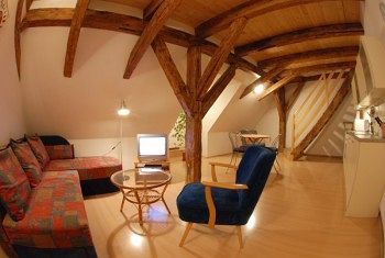 U Zlate Podkovy - At The Golden Horseshoe Apartment *